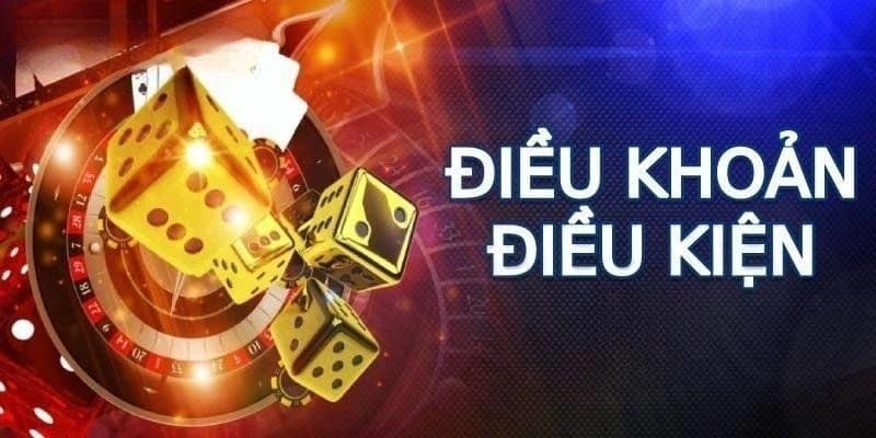 Chấp nhận điều khoản và điều kiện để tiếp tục sử dụng