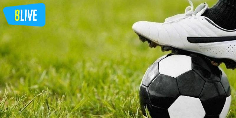 Bí kíp chơi kèo đồng banh 0.5 trái từ các cao thủ của 8live